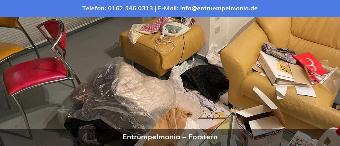 Entrümpelungen für Eitting - ↗️ Kleinumzüge, Geschäftsauflösung